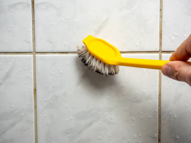 Best Home Mold Removal  in Southern View, IL