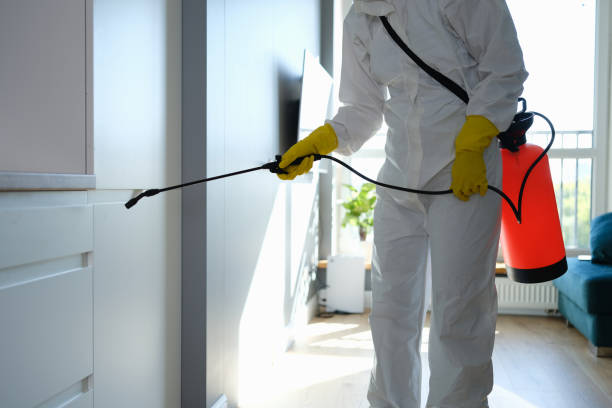 Best Commercial Mold Removal  in Southern View, IL