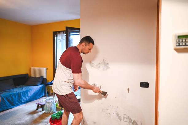 Best Mold Testing  in Southern View, IL